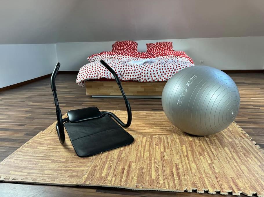 Maison Spacieuse Spa & Jardin ブレスト エクステリア 写真